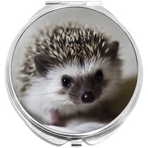 Baby Hedgehog Compact with Mirrors - Perfect for your Pocket or Purse - $16.71