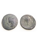 338-300 BC Lokris Opuntia AE14 Grec Pièce de Monnaie Athena Grape Grappe - $3,245.60 MXN