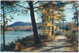 Landscape Postcard Country Road In Autumn Trees Lake Peaceful Scene - £1.65 GBP