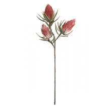 Kalalou 36 in. No.809 Botanica Decor - Case of 6 - $210.70
