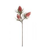 Kalalou 36 in. No.809 Botanica Decor - Case of 6 - $3,874.72 MXN