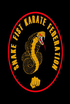 SNAKE FIST KARATE VIDEO SEMINAR 3. - $13.08