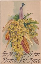 Humboldt Kansas KS Greetings From Embossed Grapes Corn Postcard B25 - £2.33 GBP