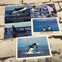 Orcas Whales Washington Pacific Coast San Juan Islands Postcards Lot Of 5 - £7.39 GBP