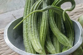 ArfanJaya Luffa Long Gourd Seed Heirloom-Non-Gmo 20 For Your Garden - £6.69 GBP