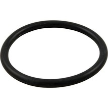 Pentair 274494 Adapter O-Ring for Pent PacFab Mitra/Mytilus/Sea Horse/MX NT - $13.15
