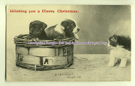 an0089 - 1908 Christmas Greetings, Two Puppies in Basket &amp; Kitten  - postcard - £1.99 GBP