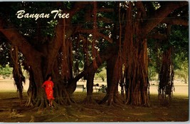 Banyan Tree with aerial root system at Lahaina Maui Hawaii Postcard - £6.66 GBP