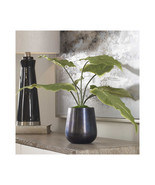 212 Main 60179 28 x 16 x 16 in. Mari Calla Accent Plant - $226.91