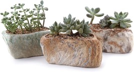 T4U 5.5 Inch Ceramic Succulent Pot Planter With Drainage Hole Set Of 3, Stone - £26.31 GBP