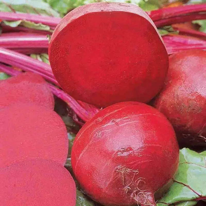 200 Seeds Ruby Queen Beet US Seller - £6.79 GBP