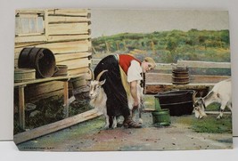 Danish Girl Feeding Goats Christmas Greetings c1910 Postcard B20 - £4.75 GBP