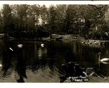 RPPC Swans on Pond Wright Park Tacoma WA Washington UNP Postcard T15 - £5.65 GBP