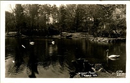 RPPC Swans on Pond Wright Park Tacoma WA Washington UNP Postcard T15 - £5.59 GBP