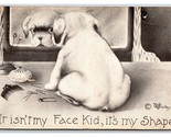 Artist Signed V Colby Puppy It Isn&#39;t My Face It&#39;s My Shape DB Postcard Q19 - $4.90