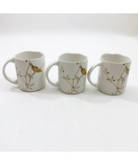 222 Fifth Early Bird Wave Edge Cups Set of 3 Excellent Used Condition - $556.59 MXN