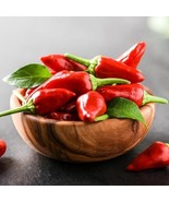 Small Red Chile Hot Pepper, Chile de Árbol, Mild Heat, NON-GMO, FREE SHI... - $30.67 MXN+