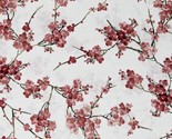 Cotton Sakura Japanese Trees Flowers Cream Fabric Print by the Yard D759.53 - £11.03 GBP