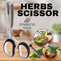 Herb Scissors Set With 5 Blades And Cover - Multipurpose Kitchen Shear - £11.85 GBP