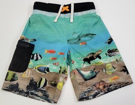 L) Children Wonder Nation Fish Shark Turtle Boys Swim Trunk Shorts Medium 8 - $7.91