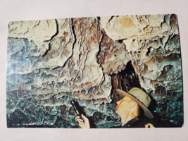 Vintage Postcard - Wind Cave National Park Ranger at Work - Dexter Press - £11.74 GBP