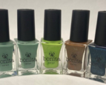 Bonita Salon Nail Polish *Five Pack* - $22.79