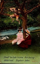 Vintage Bamforth POSTCARD-MAN In Tree, &quot;Shall Be Late Home,Being Detained..&quot; Bkc - £4.47 GBP