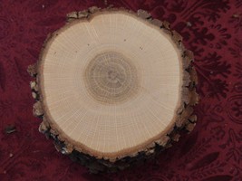 Oak Wood Rounds/Slices with Live Edge 3 1/2 -4&quot;  - $25.00