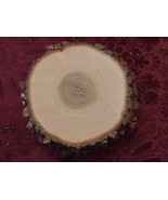 Oak Wood Rounds/Slices with Live Edge 3 1/2 -4&quot;  - $462.20 MXN