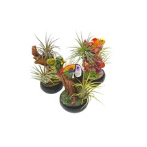 Resin Tropical Animal Air Plant Sculpture Tillandsia Planted in Hand Made Art As - £29.61 GBP