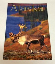 Alaskan Bull Caribou At Denali National Park New Unused Alaska Post Card - £5.05 GBP