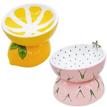 Hamiledyi Ceramic Raised Cat Bowl - Elevated Tilted Food/Water Dish Anti... - $48.05