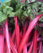 Organic Red Swiss Chard Rhubarb Perpetual Spinach Garden 50 seeds - £2.91 GBP