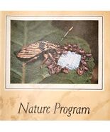 1963 Insects Natures Architects Booklet 2nd Edition Audubon Nature Progr... - $15.06 CAD