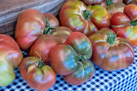 50 Cherokee Purple Tomato Seeds Summer Native Heirloom Garden Container - £14.14 GBP