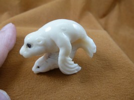 (tb-seal-3) Mama + baby seal white Tagua NUT palm figurine Bali I love s... - £40.49 GBP