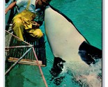 Shamu Orca Killer Whale Sea World San Diego CA California Chrome Postcar... - £2.29 GBP