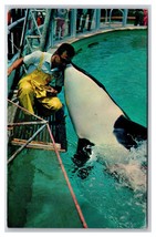 Shamu Orca Killer Whale Sea World San Diego CA California Chrome Postcard Y13 - £2.29 GBP