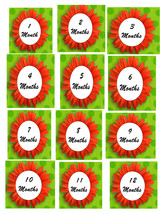 1 to 12 Months M3-Digital Immediate Download-ClipArt-Banner-Planner-Baby... - $5.00