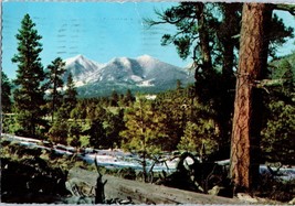 San Francisco Peaks Flagstaff Arizona Postcard Posted 1972 - £4.07 GBP