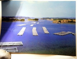 Japan Pearl Oyster Beds at Ago bay Kashikojima  Postcard 6X4" vintage 1950's - $6.77