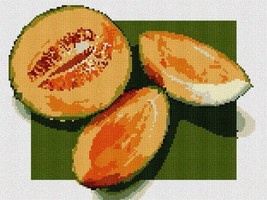 Pepita Needlepoint Canvas: Melon, 12&quot; x 9&quot; - £61.12 GBP+