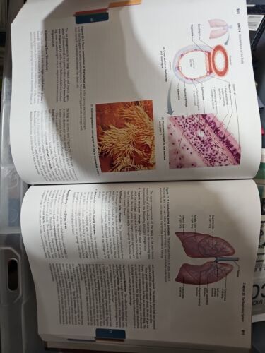Human Anatomy and Physiology by Katja N. Hoehn and Elaine N. Marieb (2012,... Item image 4