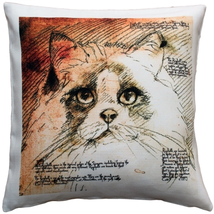Ragdoll Cat Pillow 17x17, Complete with Pillow Insert - £41.92 GBP