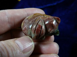 (Y-CAT-SLR-557) KITTY kitten CAT red white gemstone STONE carving figuri... - $14.01