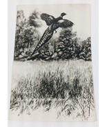 1946 South Dakota FLYING PHEASANT RENDERING L L Cook Vintage Postcard SD... - €7,41 EUR