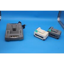 Litheli U1CR041D0 Charger with 2 40V 4ah Batteries **READ** - $109.99