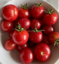 PPA 50 Seeds Johnson&#39;S Cherry Tomato Dwarf Juicy Tomatoe Vegetable Garden Edible - £3.63 GBP