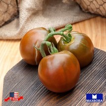 Tomato Seeds Black Prince Heirloom Non Gmo Home Garden - £5.84 GBP