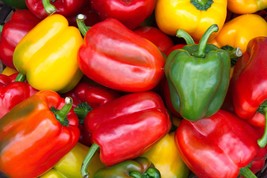 Serendipity&#39;s Mini Bell Sweet Pepper Color Mix 10 Seeds -Beautiful Fruits   - $3.99